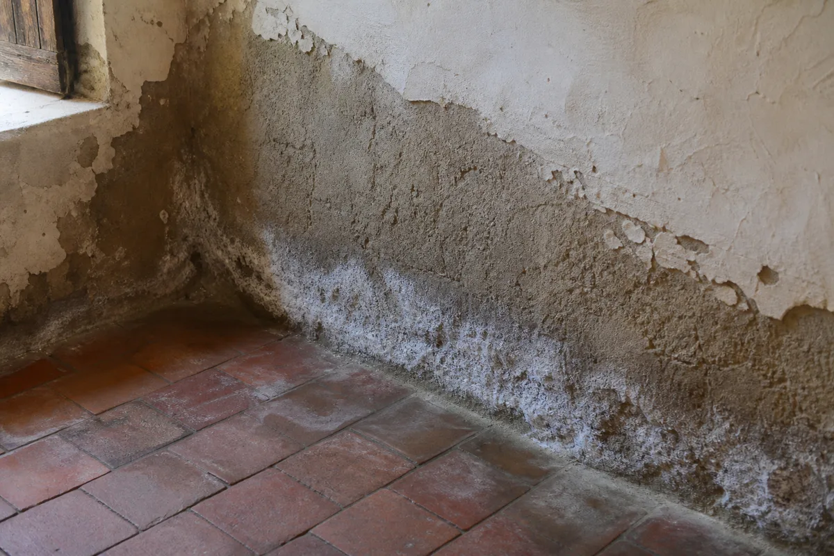Trace d&rsquo;humidité et salpêtre en bas d&rsquo;un mur en pisé d&rsquo;une maison ancienne